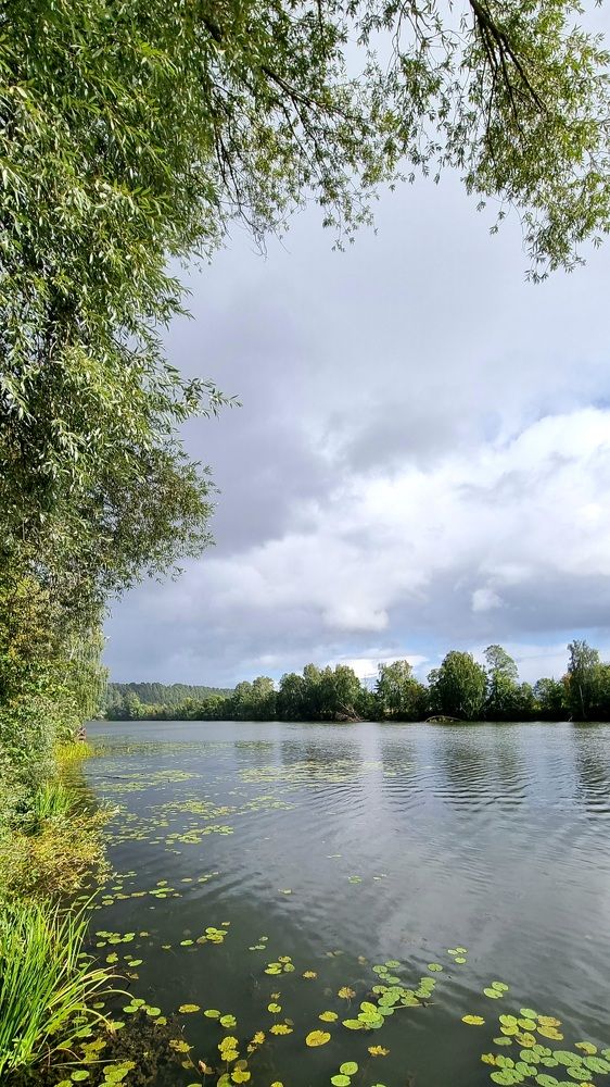 Вот и осень