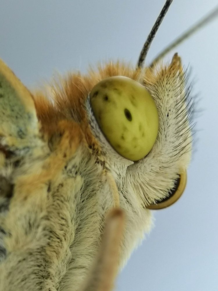 Photograph by Natali