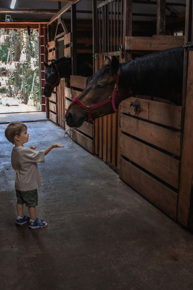 Photograph by Yuliy Osipova