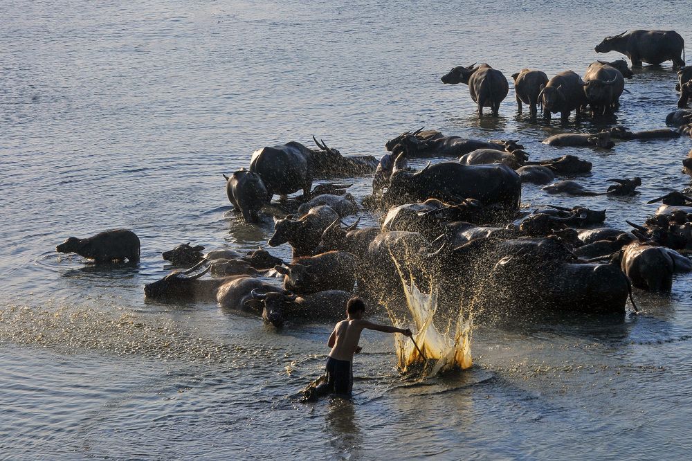 Photograph by Huy Nguyen Quoc