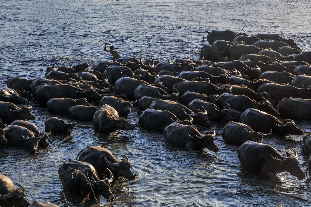 Photograph by Huy Nguyen Quoc