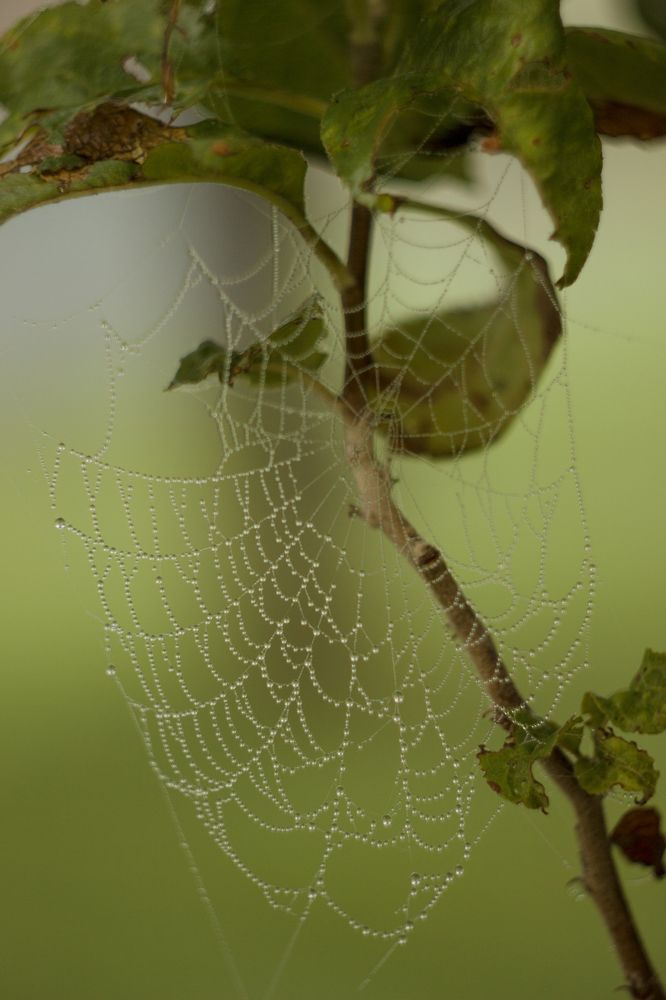 Photograph by Татьяна Бушук