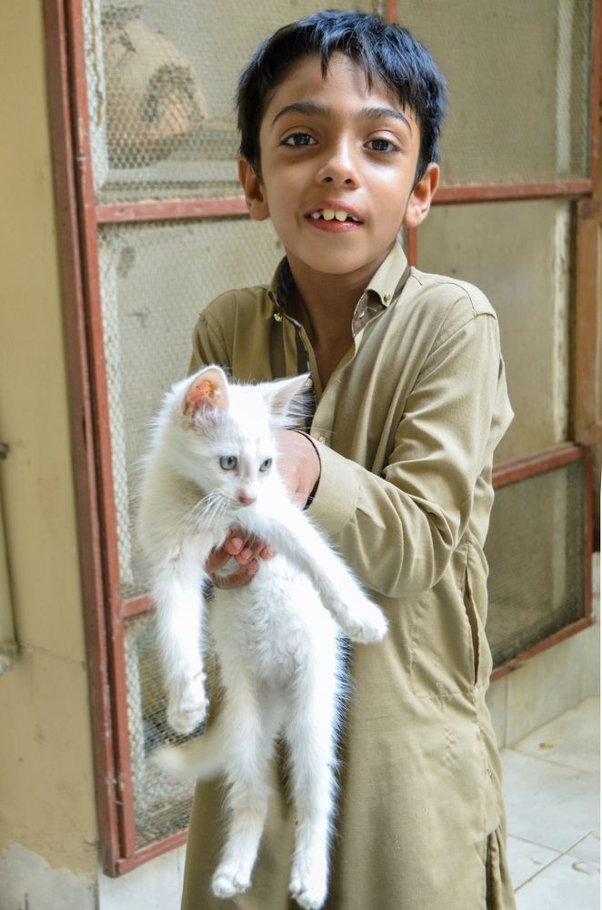 Photograph by SHAHZAD KAZMI