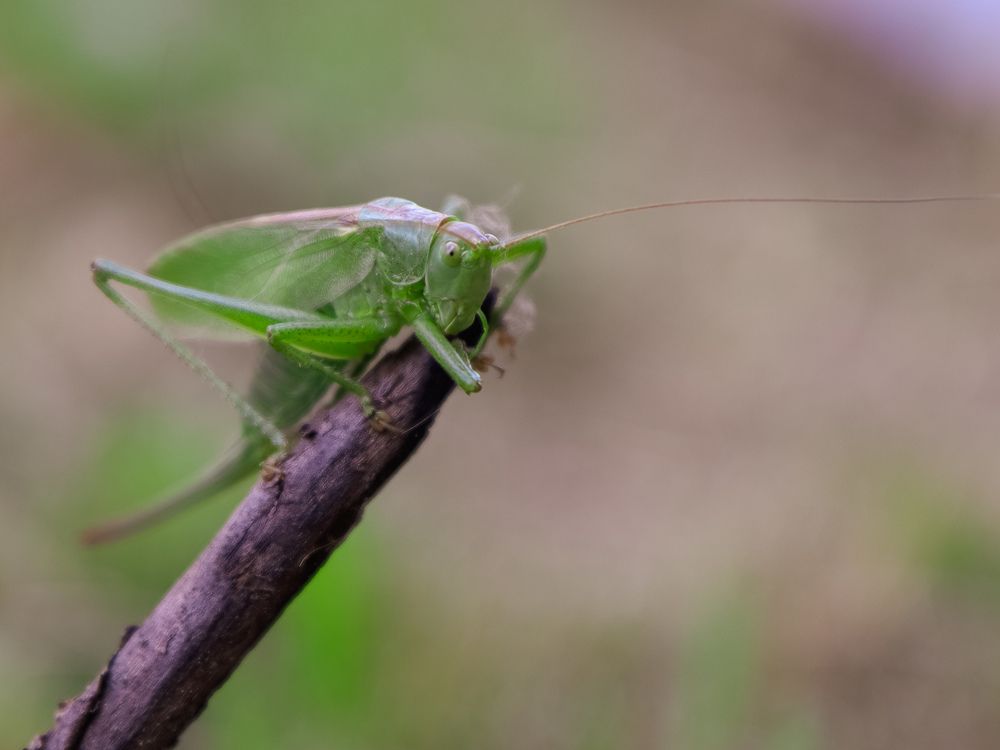 Photograph by Екатерина Слепнева