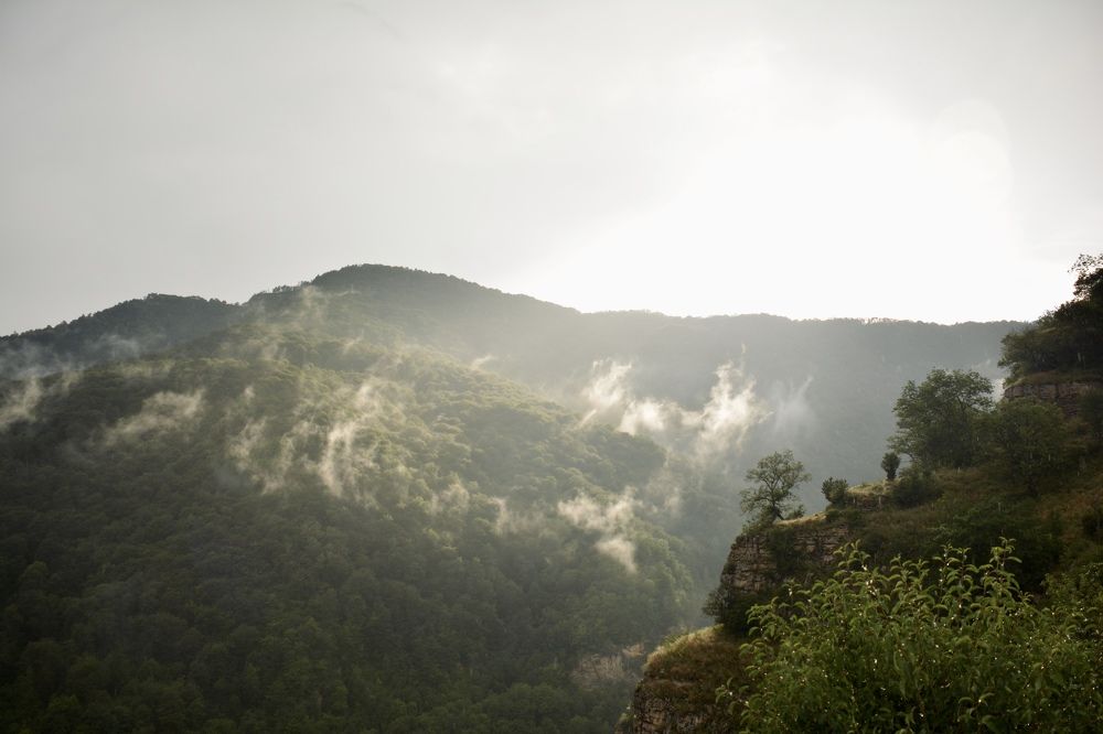 Photograph by Елена Терехина