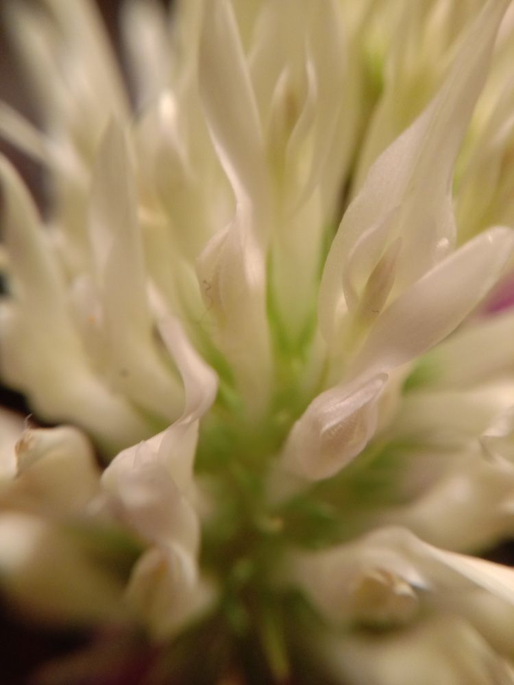 Photograph by Снежана Шепель