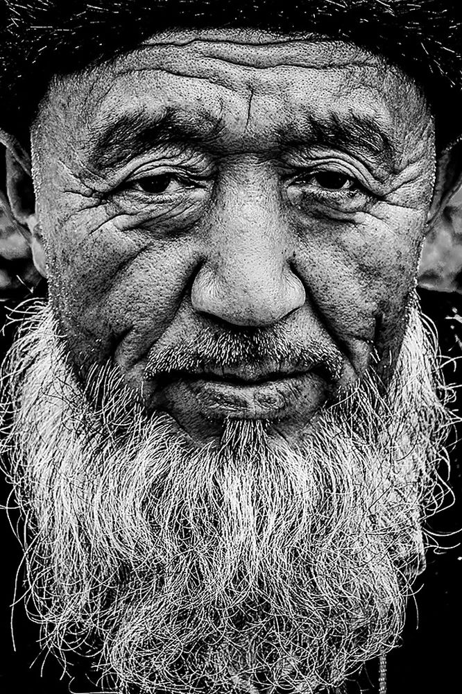 Photograph by tamaddon homayoun