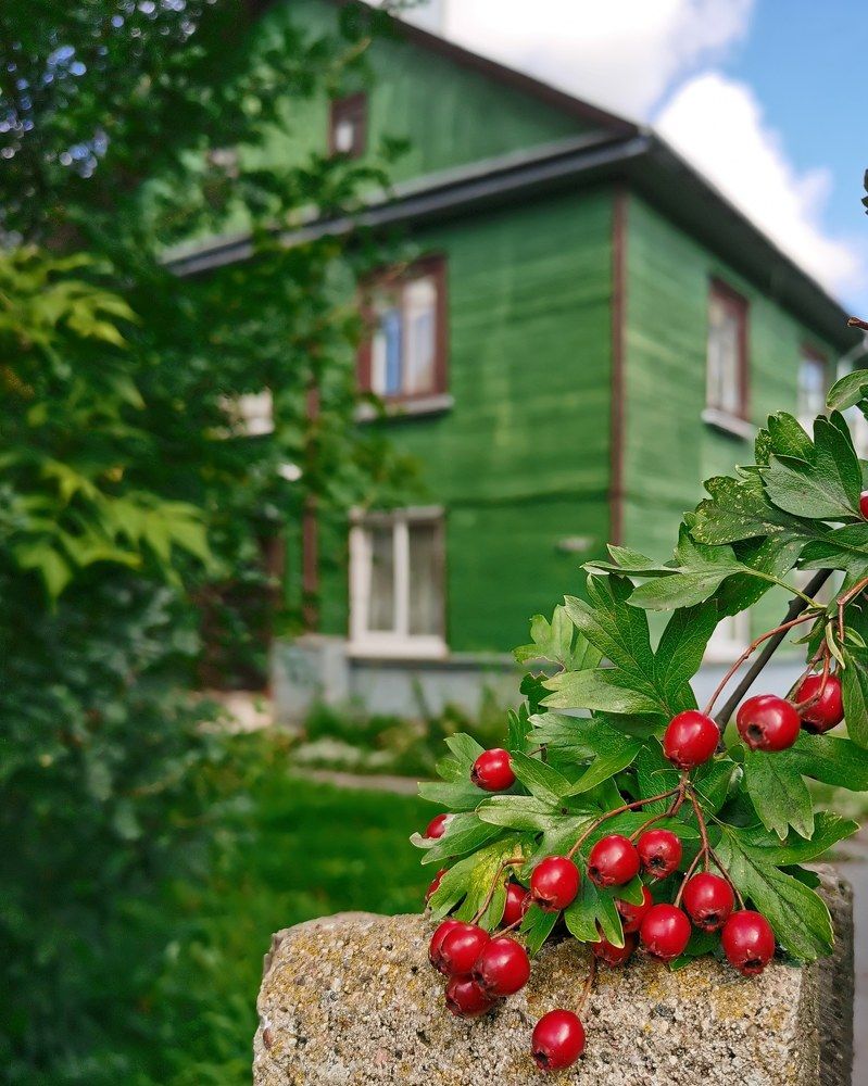 Photograph by Оксана Урбанович