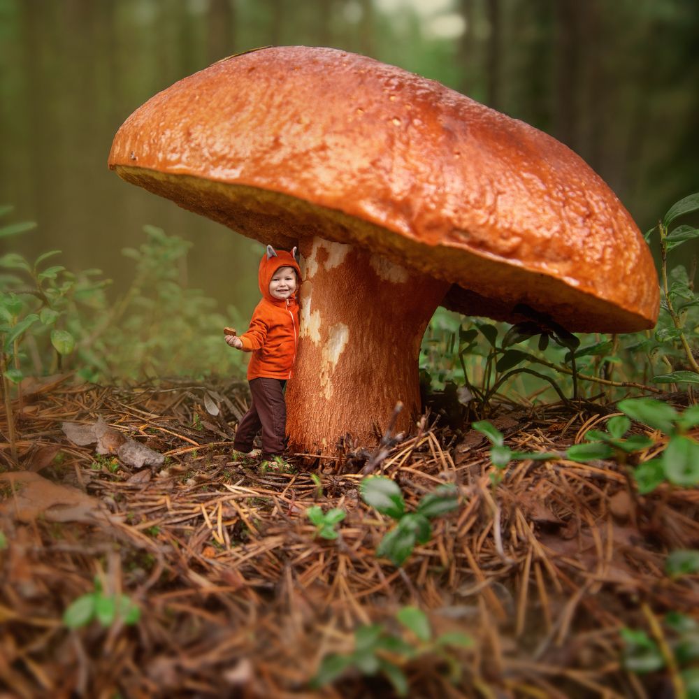 Photograph by Чернецкая Кристина