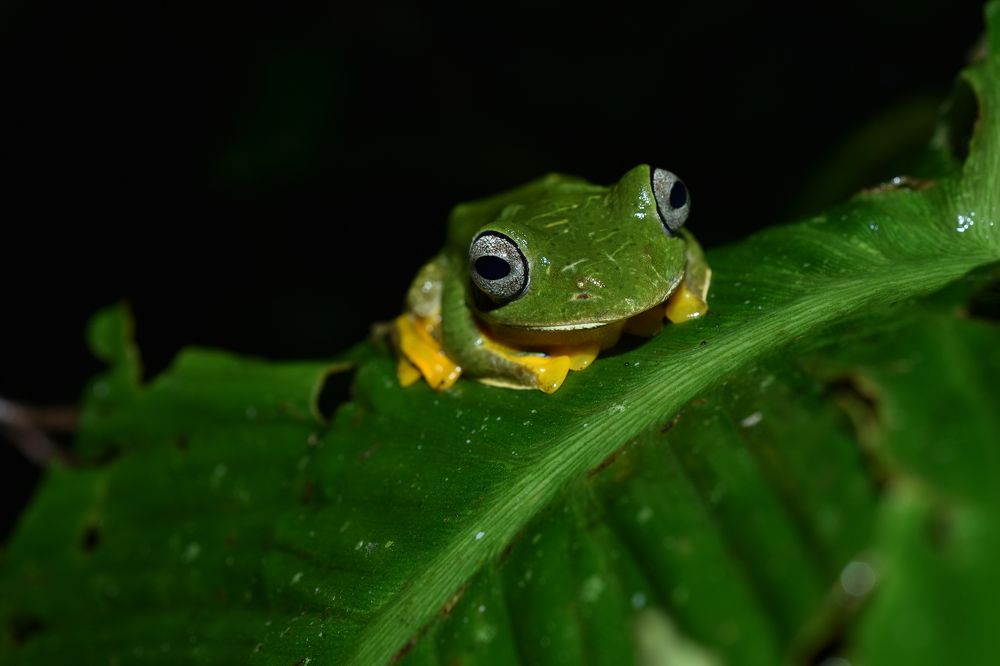 Photograph by Daniyan Aulia Rahman