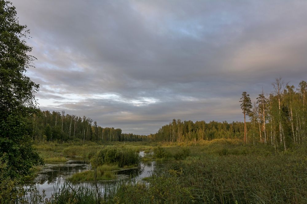Photograph by Волоцков Александр
