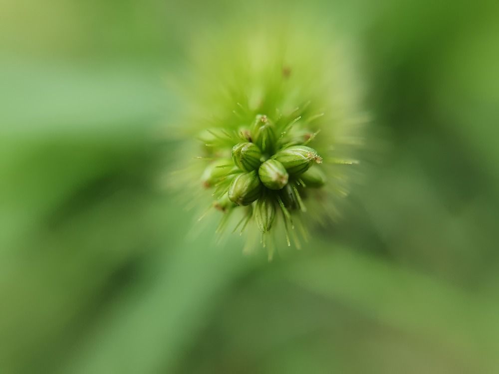 Спокойствие