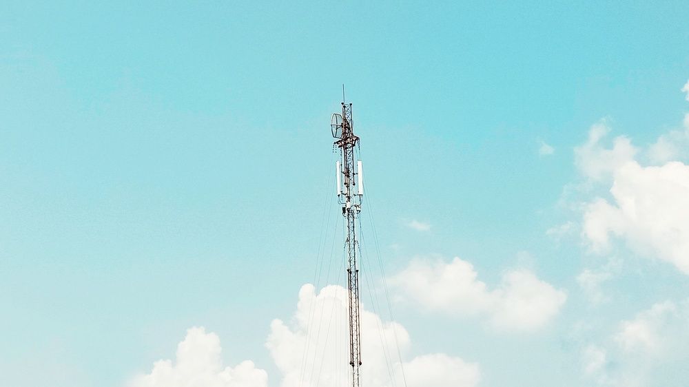 Photo #6457890