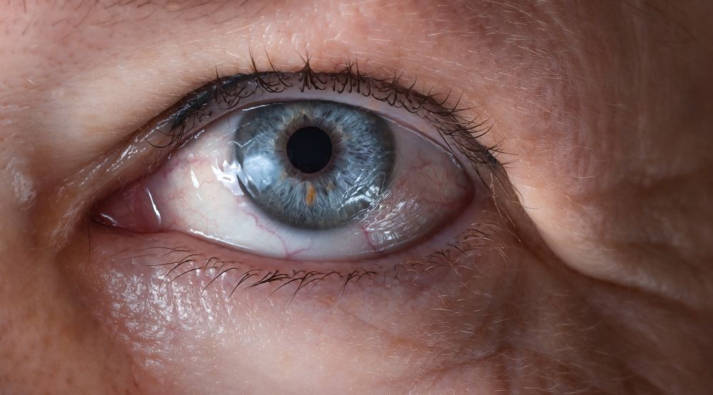 Photograph by Валерия Кузнецова