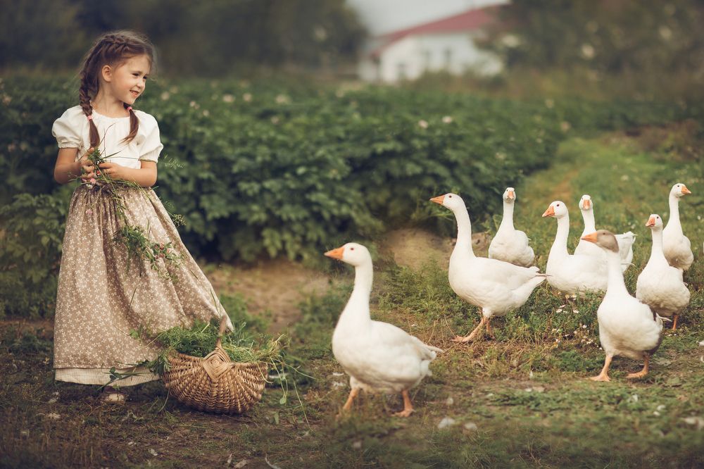 Фотография автора Анастасия Ануфриенко
