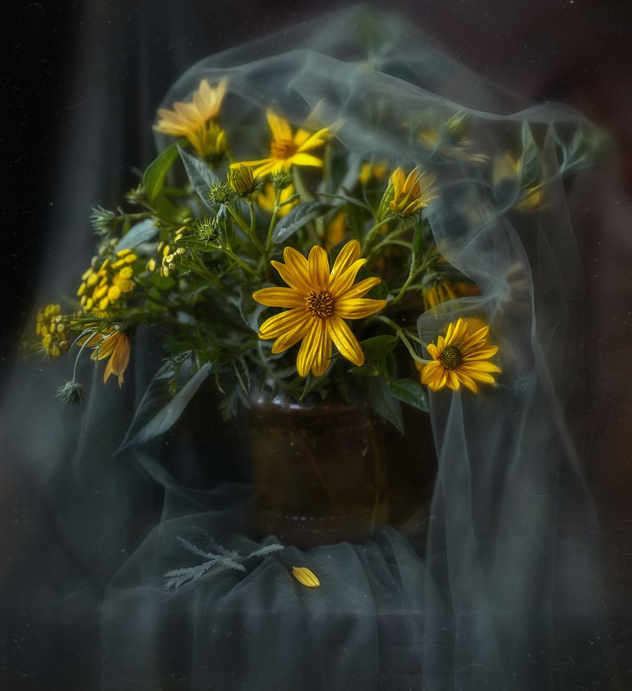 Photograph by Svoboda Andreeva