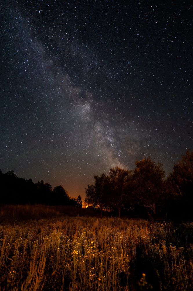 Photograph by Sebastian Bundschuh