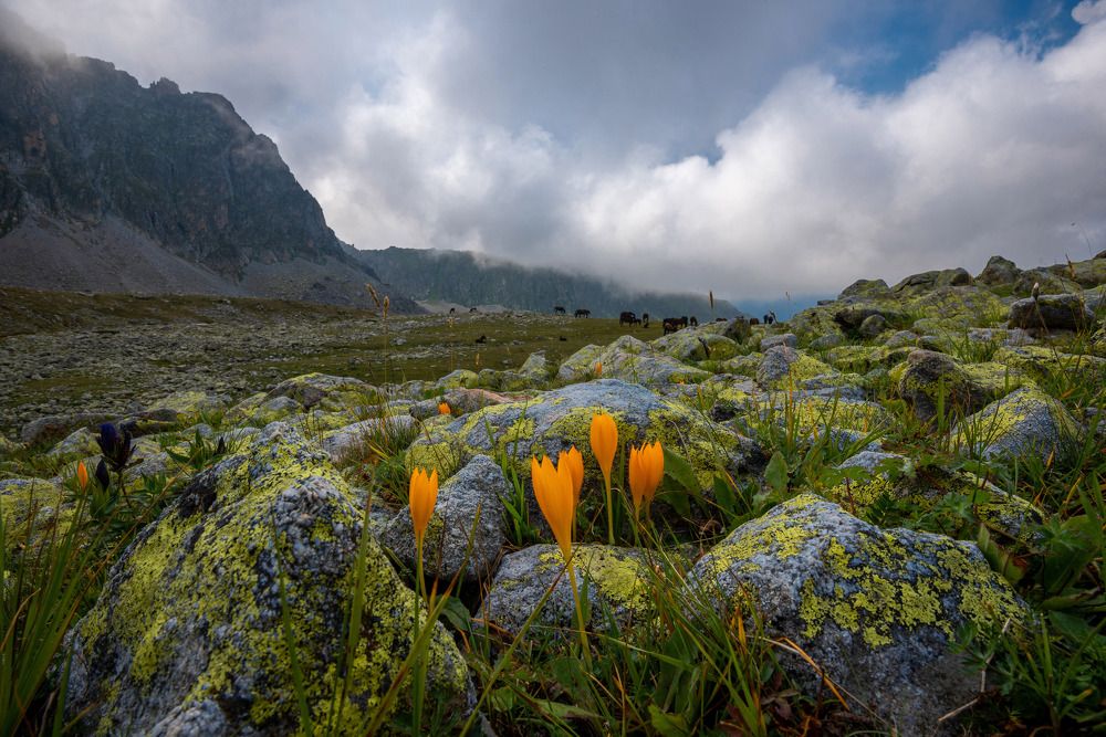 Photograph by Наргиза Кахарова