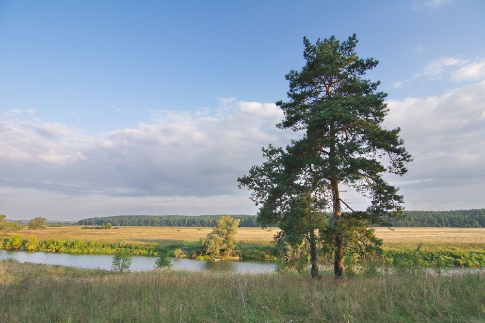 Photograph by Алексей Куренков