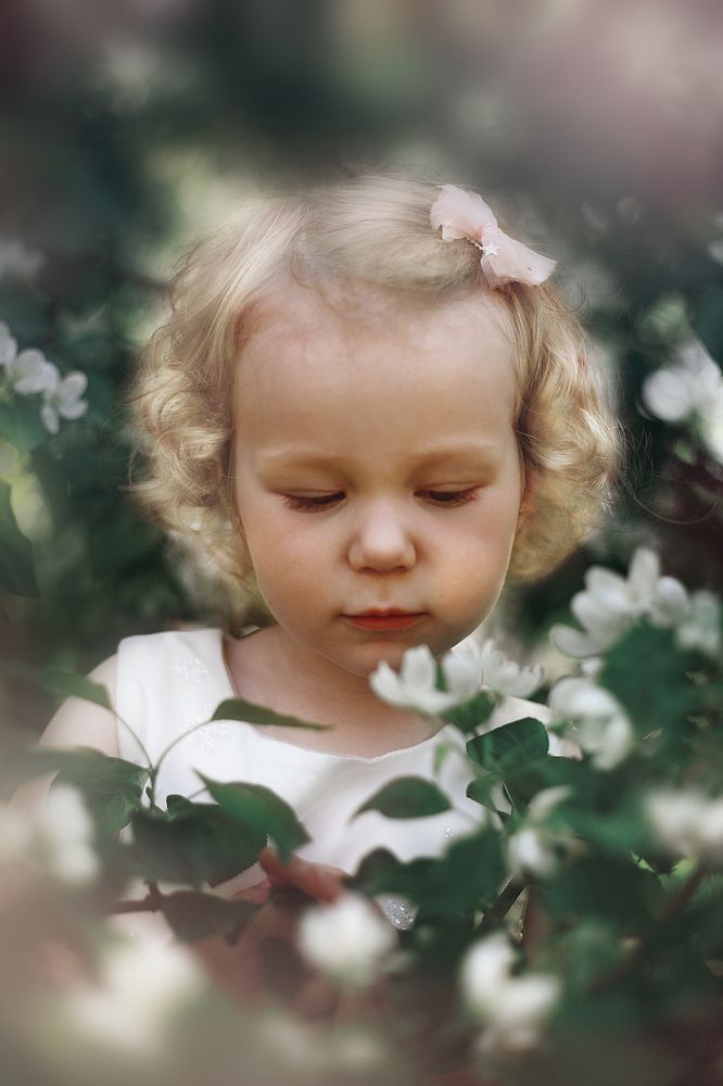 Фотография автора Алена Левина