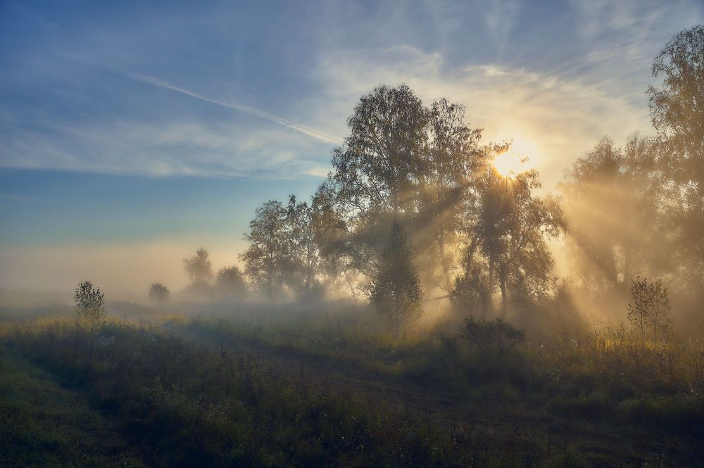 Photograph by Владимир Малевич