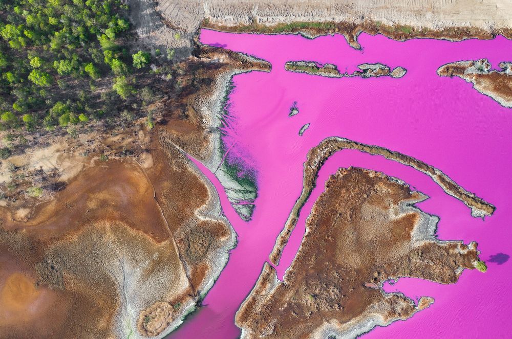Pink lake