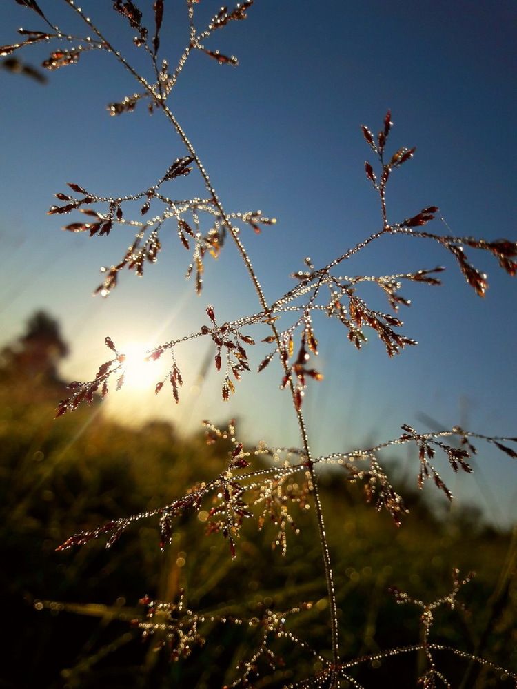 Photograph by Блескина Юлия