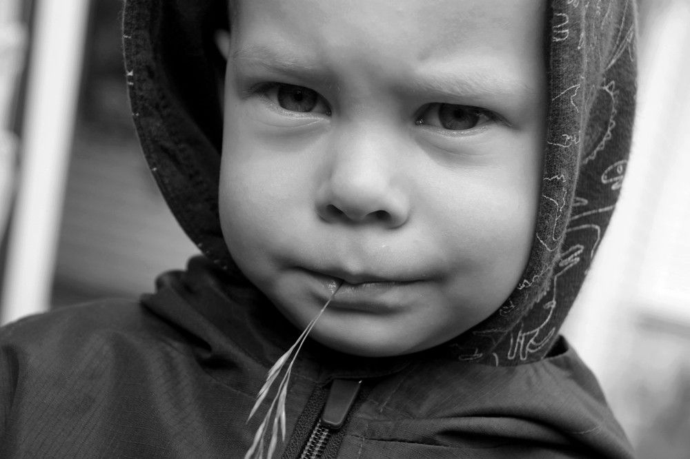 Photograph by Елена Копейкина