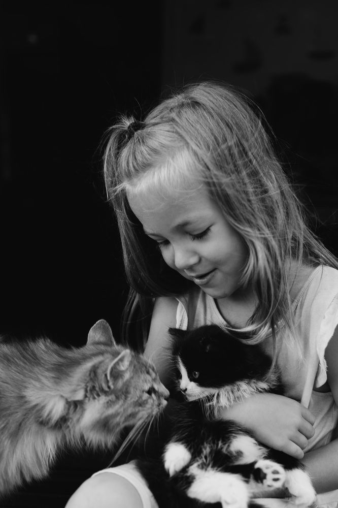 Настя, Алиска и Майнкрафт