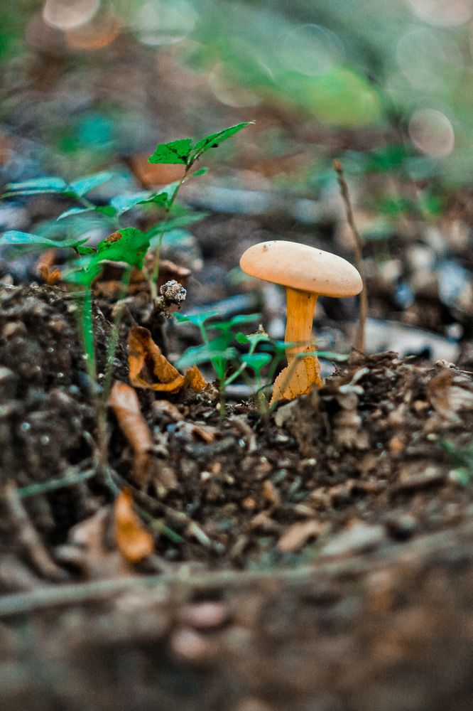 Photograph by Наталья Лукьянчук