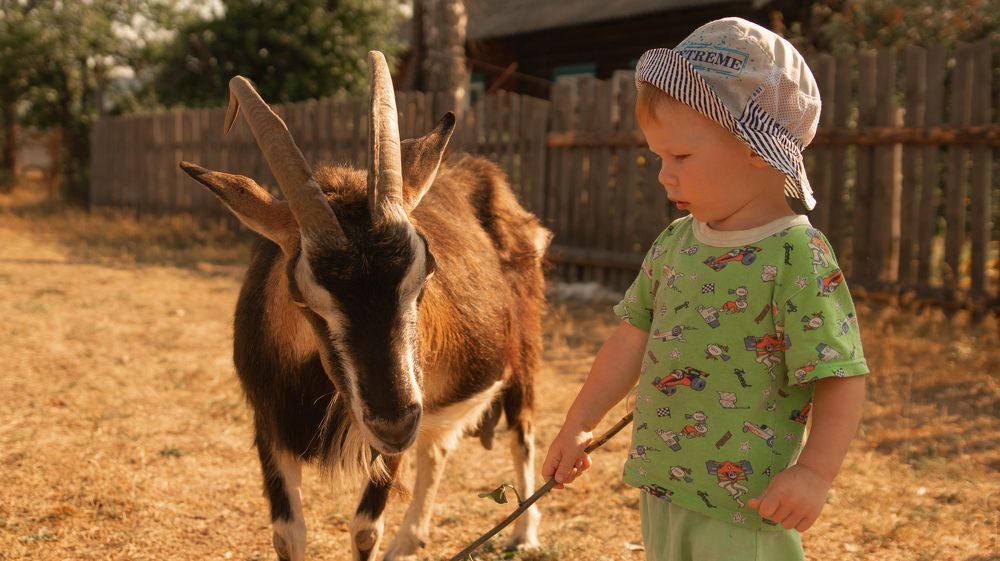 Photograph by Евгений Калагаев