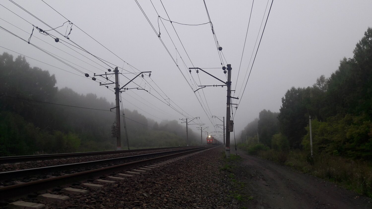 Photo #6458750