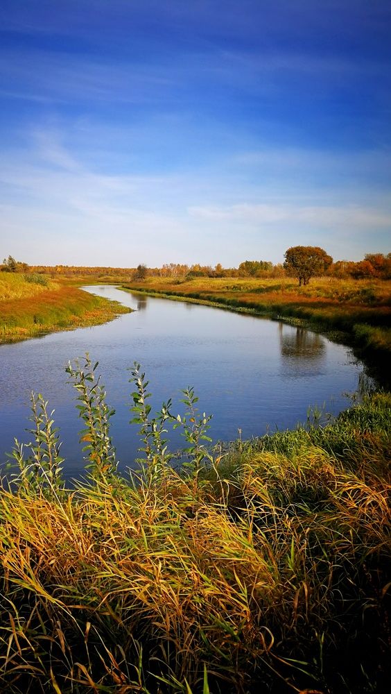 Крадётся осень