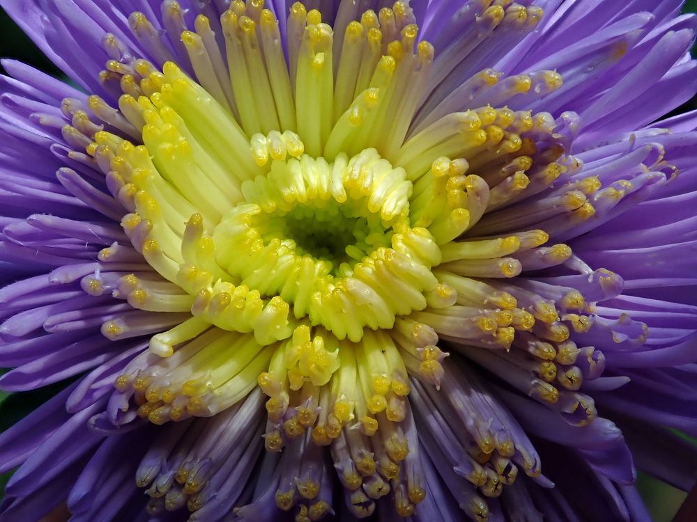 Photograph by Алексей Амилющенко