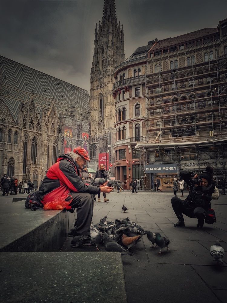 Одинокий мужчина кормит голубей