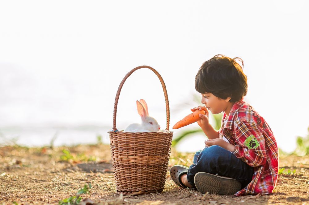 The boy and his bunny