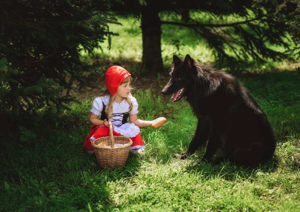 Фотография автора Диана Липкина