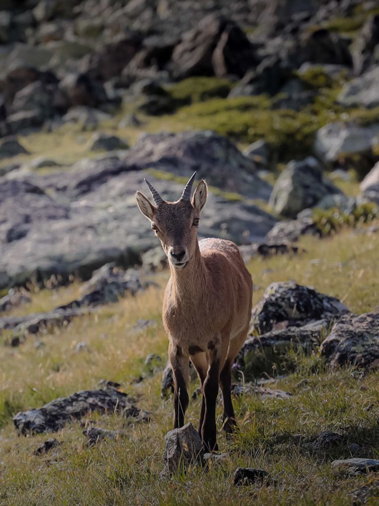 Встреча с турами