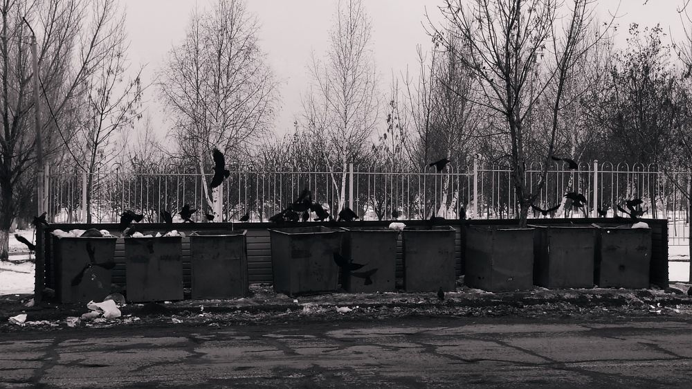 Photograph by Ashik Hovhannisyan