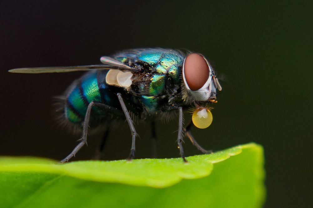 Photograph by Pinak Paul