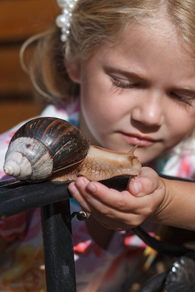 Фотография автора Евгений Радиборов