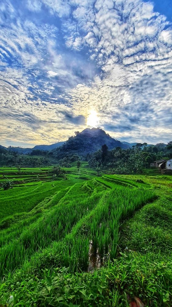 Photograph by Astried Marini