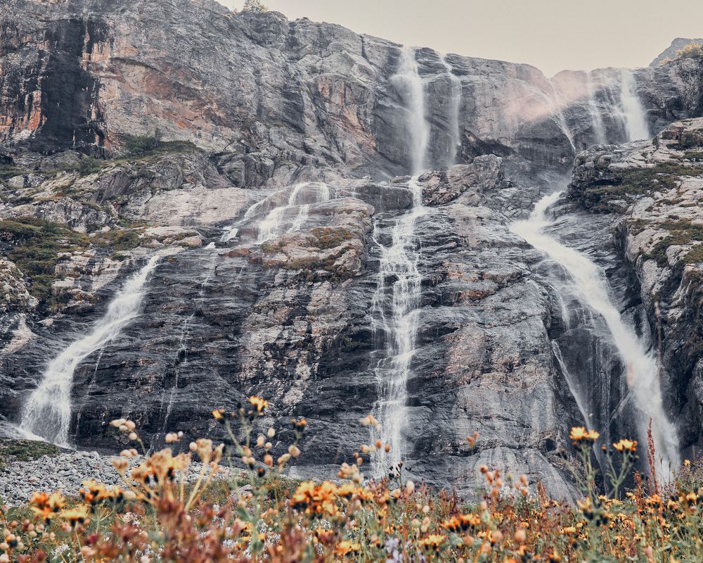 Photograph by Дарья Самойлова