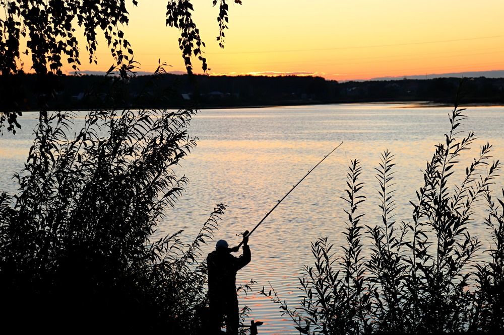 Photograph by Татьяна Котельникова