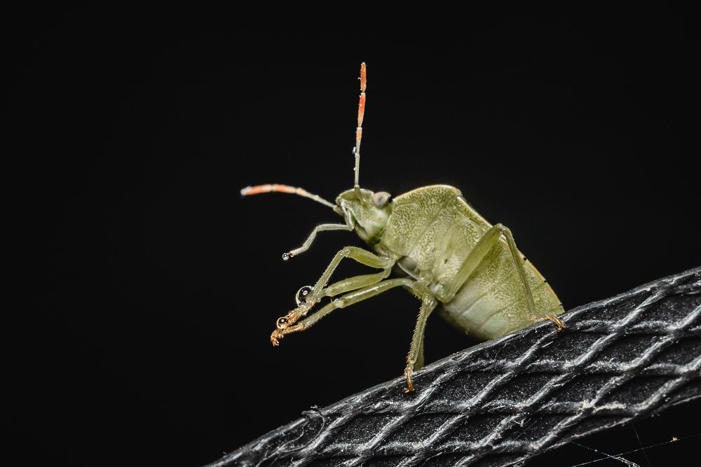 Photograph by Анастасия Киселева