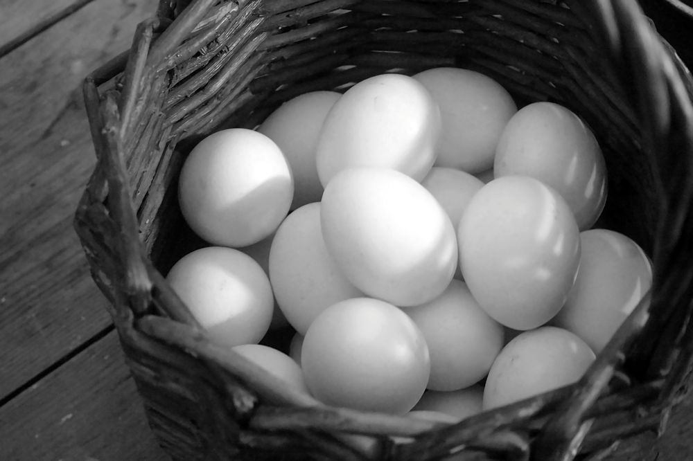 Photograph by Евгений Беленков