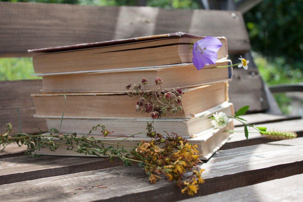 Летнее чтиво