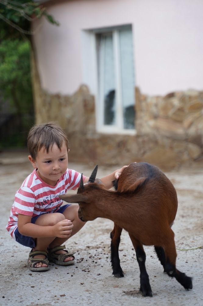 Photograph by Anna Freedman