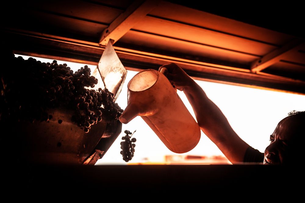 Photograph by Jose Luis Mendez Fernandez