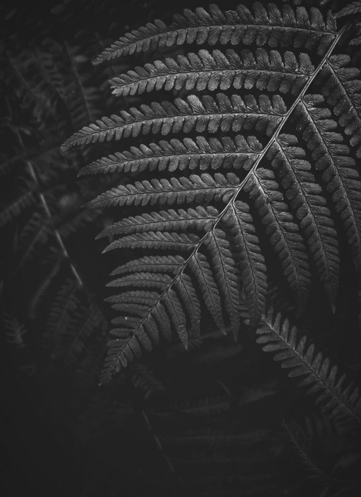 Photograph by Владимир Алейников